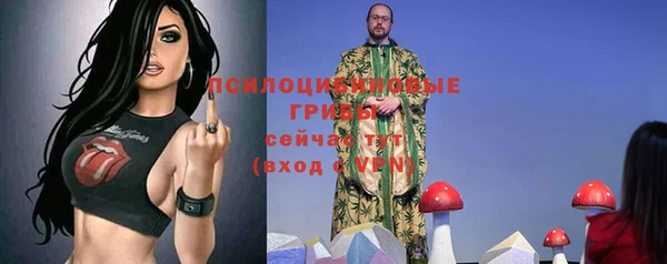 mix Зеленокумск