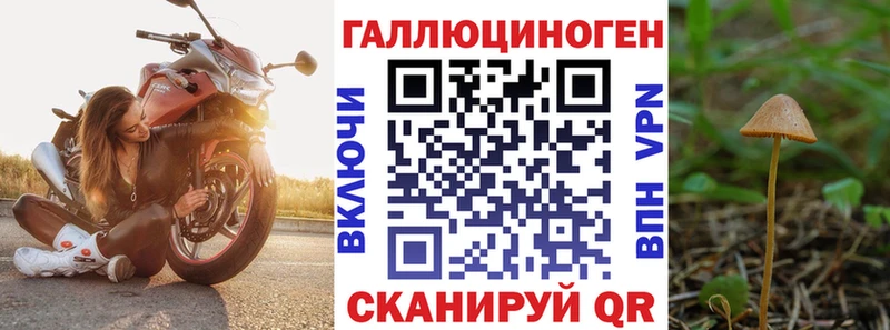Купить закладки  Малоархангельск  Галлюциногенные грибы Psilocybine cubensis 